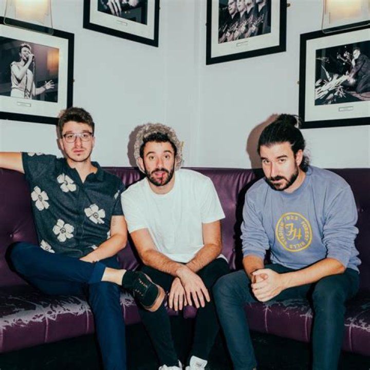Get The Inside Scoop: Ryan AJR's Age Unveiled